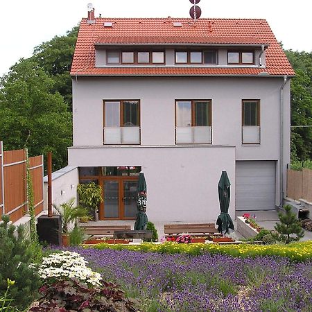Penzion Ruland Otel Brno Dış mekan fotoğraf